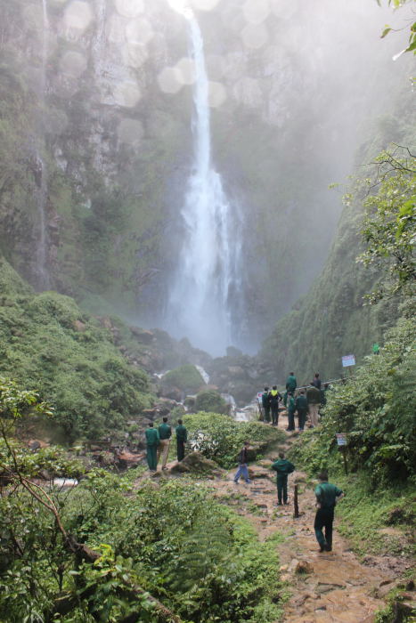 Viagem ao sul do Brasil