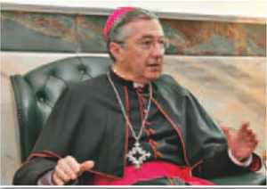 Cardinal 3rd pic