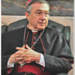 smaller picture of cardinal