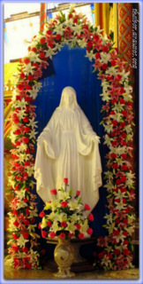 Um “rosário” de flores