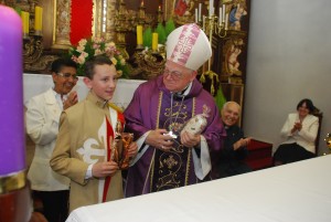Formatura 556