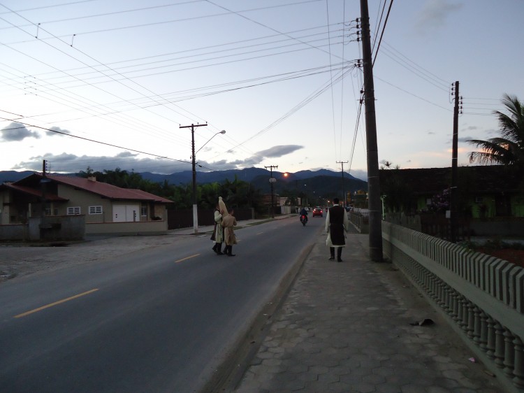 DSC02705