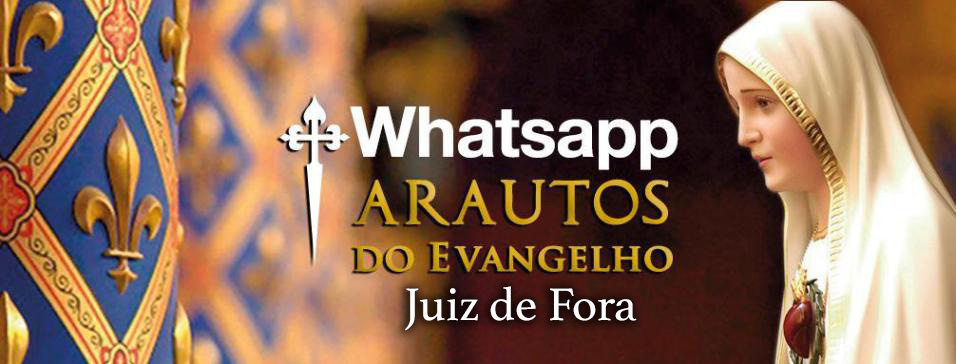 Cabeçalho whatsapp JF