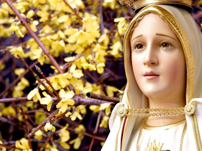 20170102 Nossa Senhora de Fátima