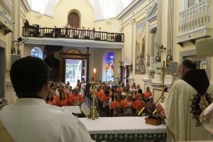 Peregrinação em Cantagalo (4)
