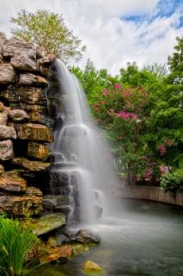 www.br.freepik.com